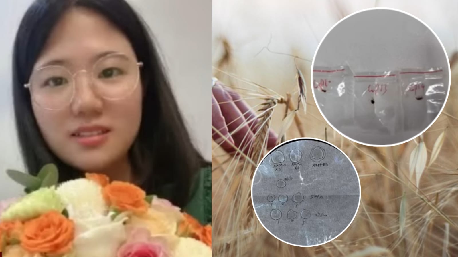 Chinese Couple Charged in US for Deadly Agroterrorism