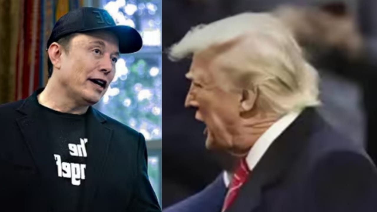 Donald Trump Elon Musk