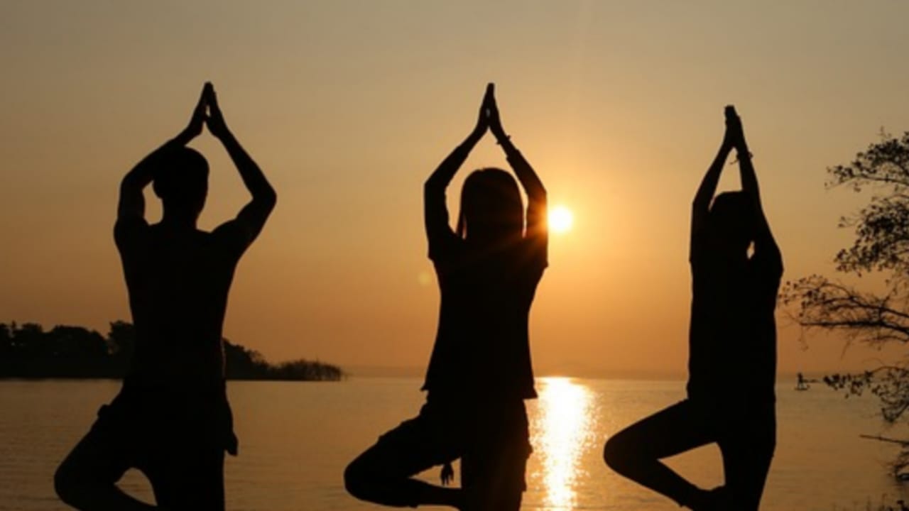 How Yoga Transforms Your Life