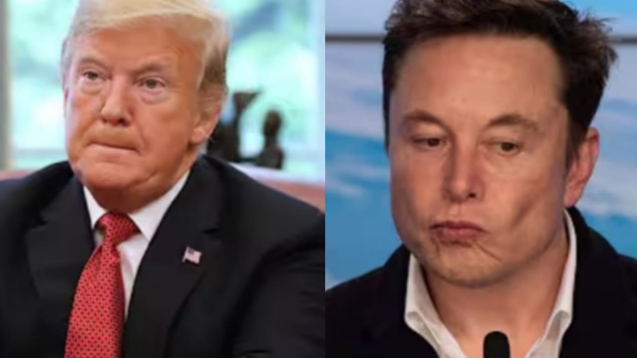 Trump vs Musk